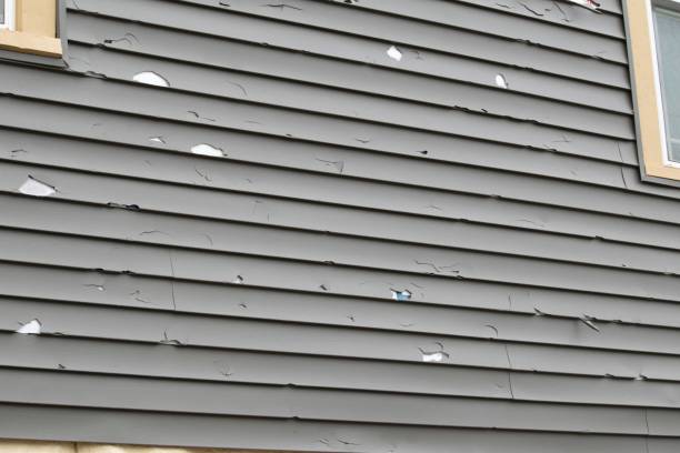 Best Hoarding Cleanup  in Newport, NC